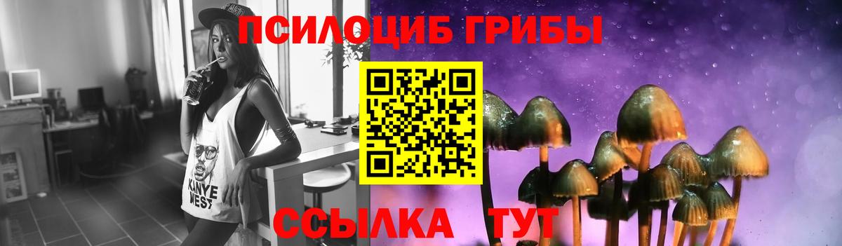 Касимов  Галлюциногенные грибы прущие грибы  Вход с VPN  где продают   Псилоцибиновые грибы ЛСД 